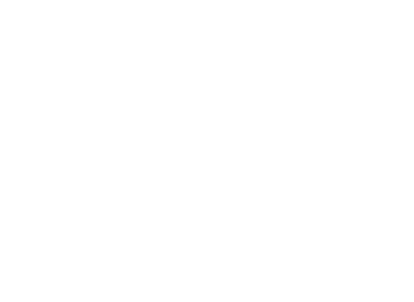 Winner Mindset